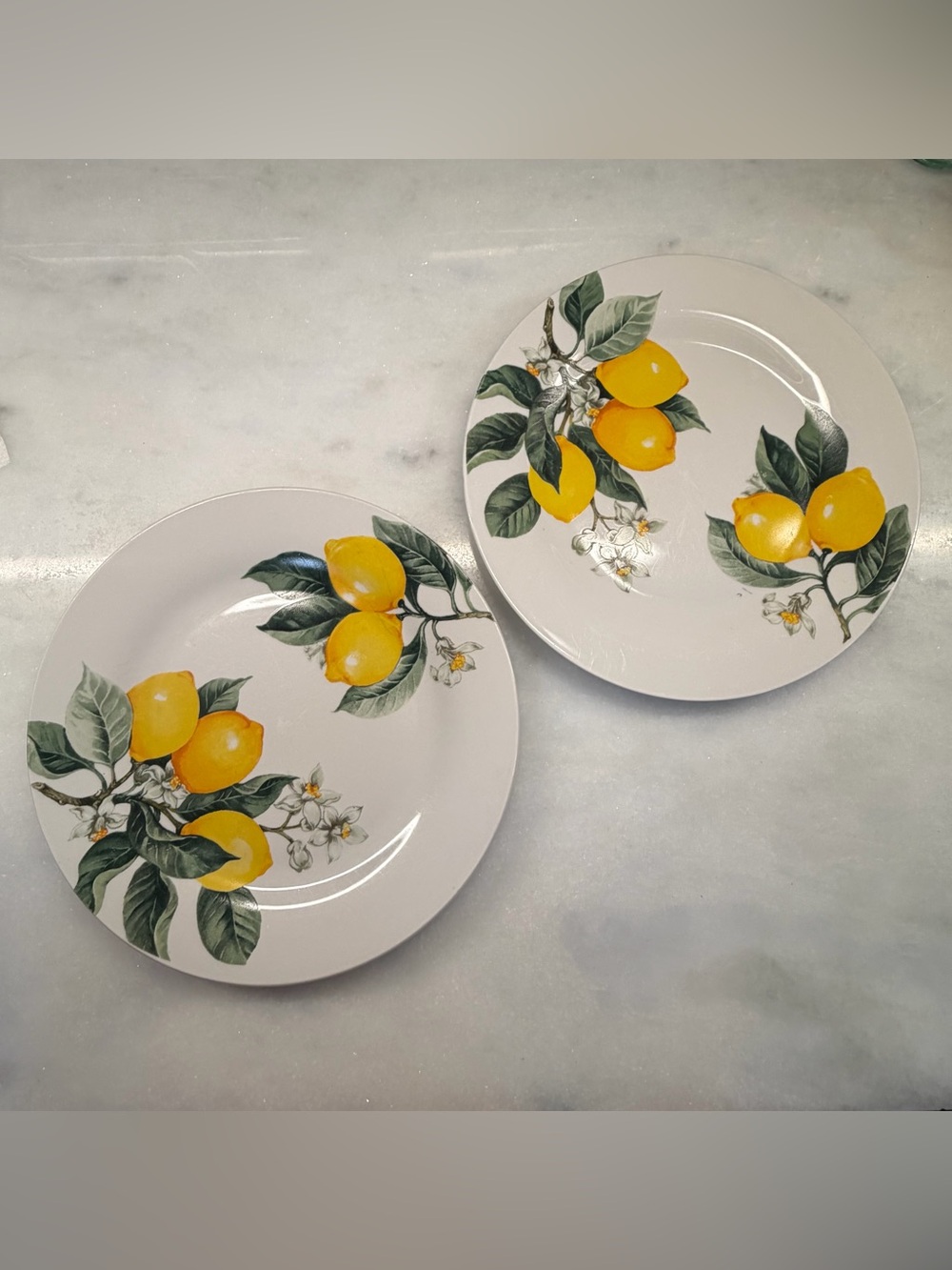 Royal Norfolk Lemon Motif Ceramic Dinner Plates - Yellow & Green